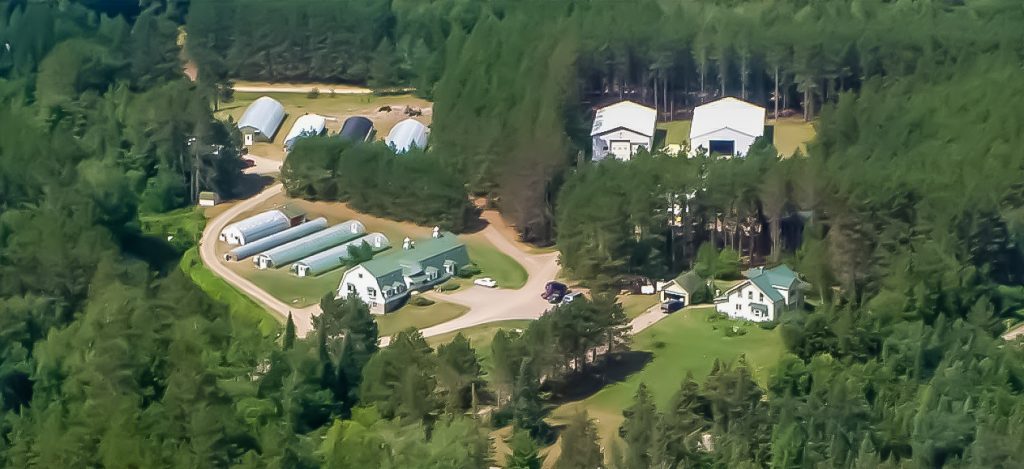 Aerial view of agricultural buildings and forests